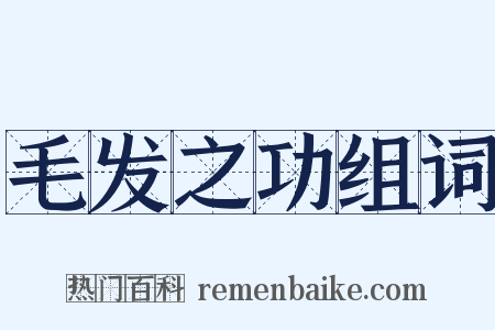 毛发之功组词是什么意思的图片